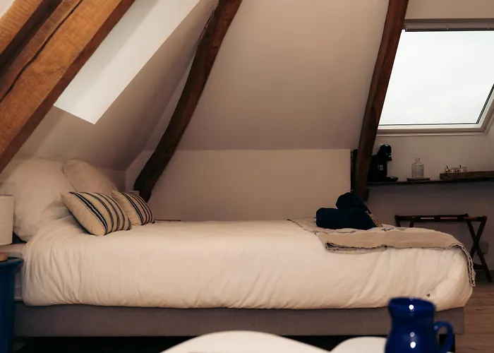 Bed & Breakfast Maison