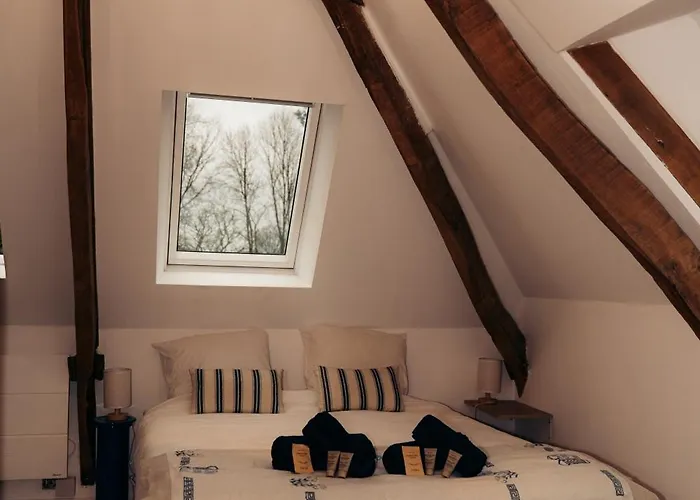 Bed & Breakfast Maison